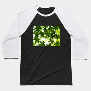 Photography - Spring leaves Baseball T-Shirt